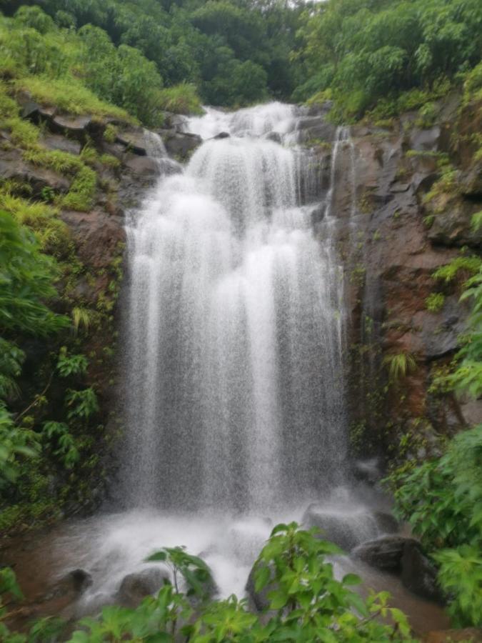 Soul Tree Villa 50 Super Luxury Villa With Heated Plunge Pool And Jacuzzi Lavasa Exterior photo